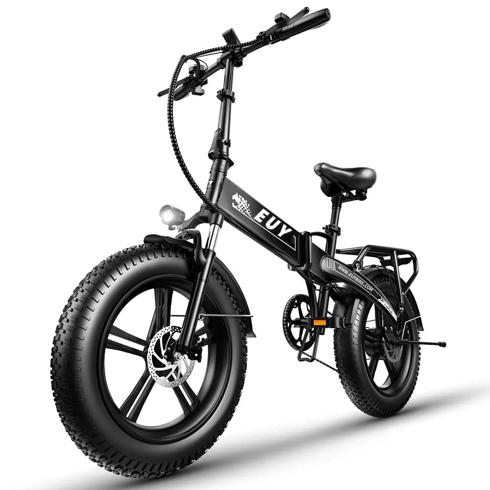 Electric Bike 750W Motor Fat Tire Ebike with Samsung 48V Battery.