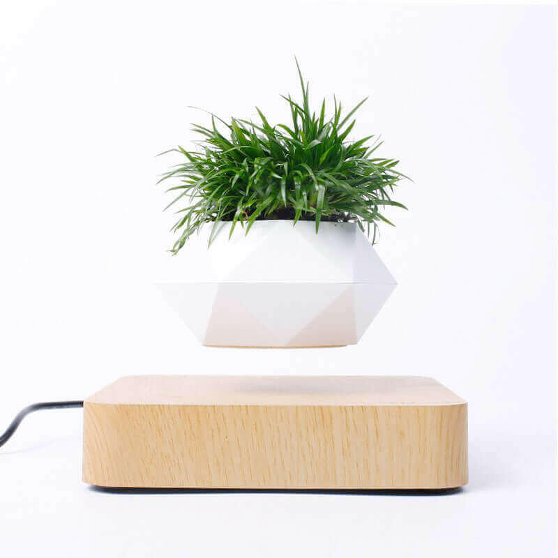 Novelty Levitating Rotation Flowerpot Magnetic Levitation FlowerPot.