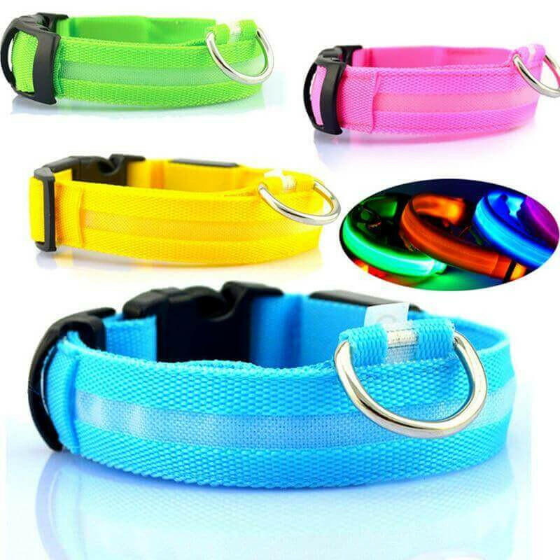 USB RECHARGEABLE LED PET DOG COLLAR.