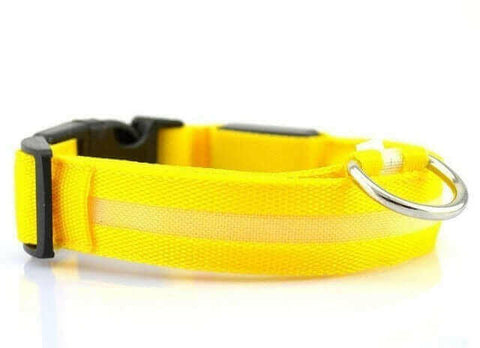 USB RECHARGEABLE LED PET DOG COLLAR.