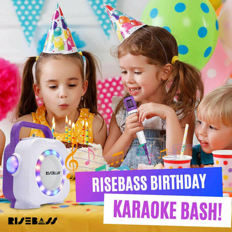 Risebass Karaoke Machine with 2 Microphones.