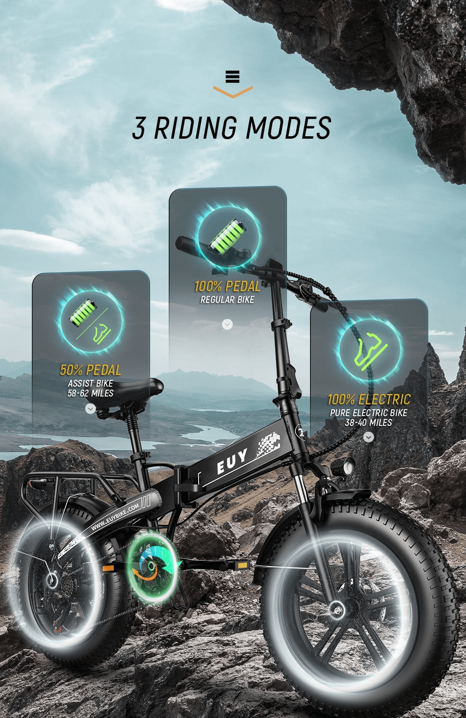 Electric Bike 750W Motor Fat Tire Ebike with Samsung 48V Battery.