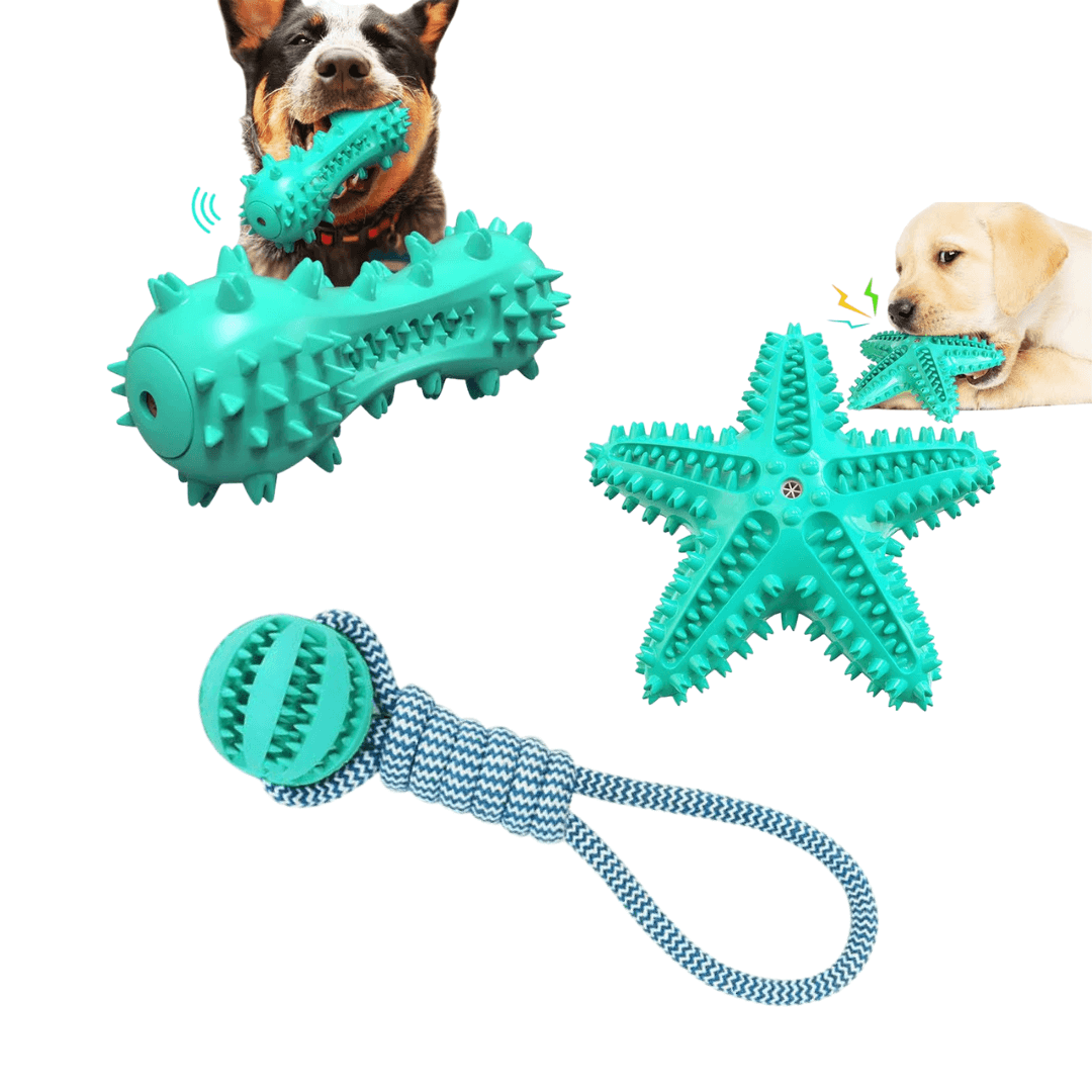 Fast Shipping 3 Pack Squeaky Toothbrush & Cotton Rope Ball Dog Toys.