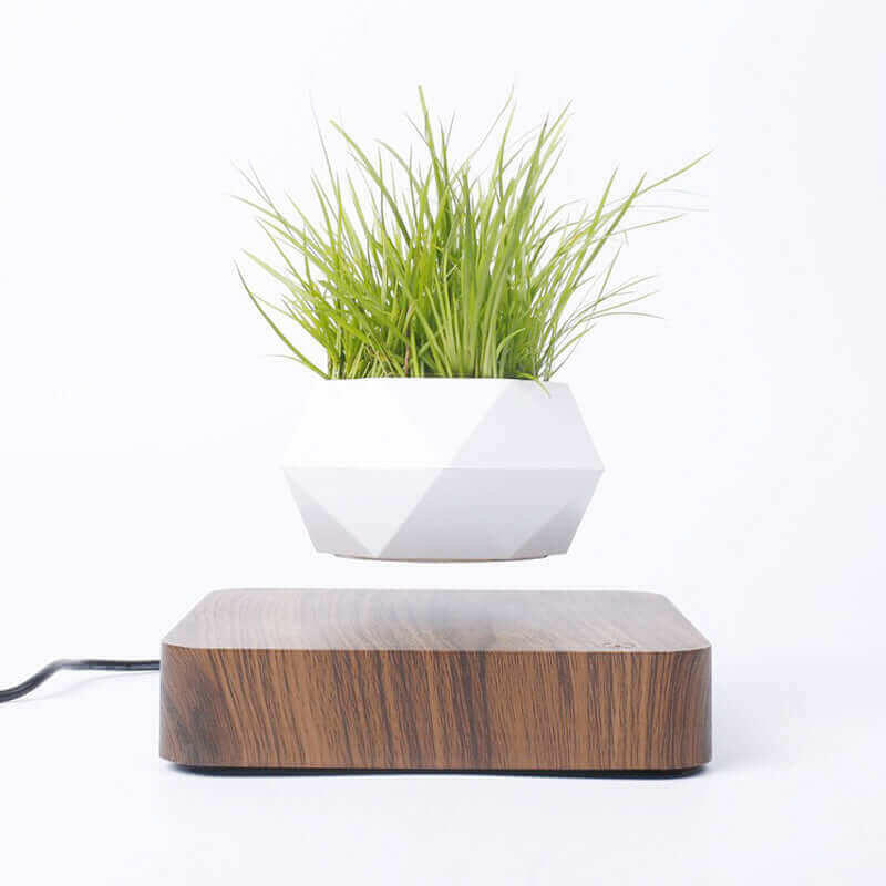 Levitating Air Bonsai Pot Flower Pot Planters Magnetic Suspension Pot.