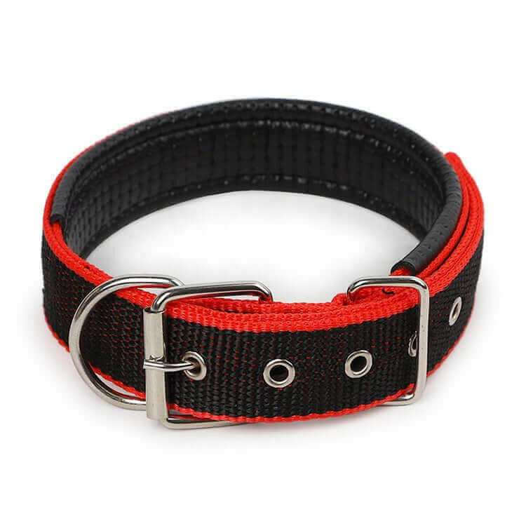 Durable Dog Collar - Red/Black.