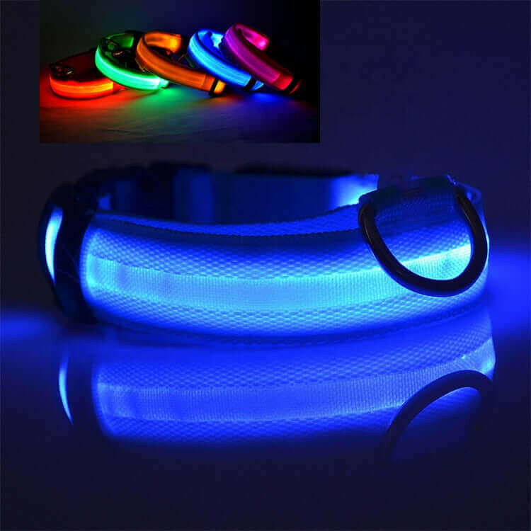 USB RECHARGEABLE LED PET DOG COLLAR.