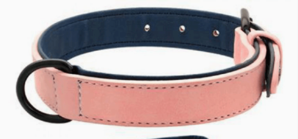Adjustable PVC Dog Collar