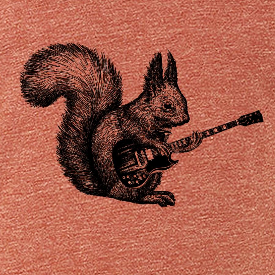 Rock &amp; Roll Squirrel
