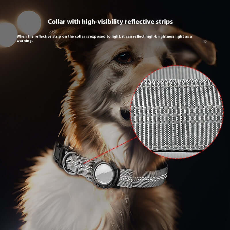 Reflective Dog Collar with Apple AirTag Holder