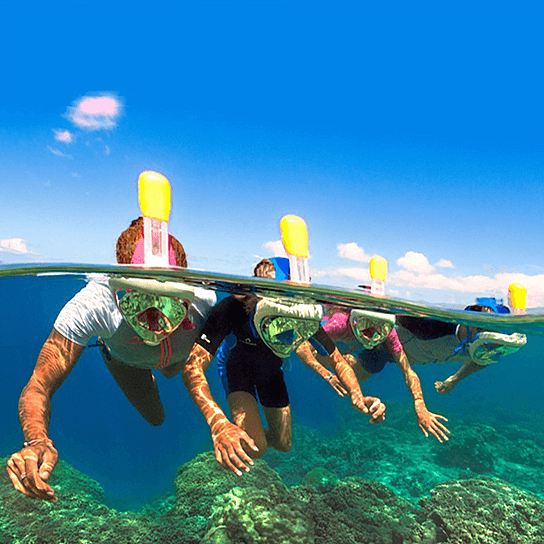 Full Face Snorkel Mask.