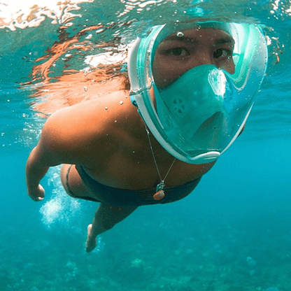 Full Face Snorkel Mask.