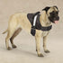 Excursion Harness 15-19 In Black