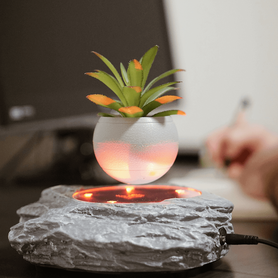 Levitating Rock Plant Pot.