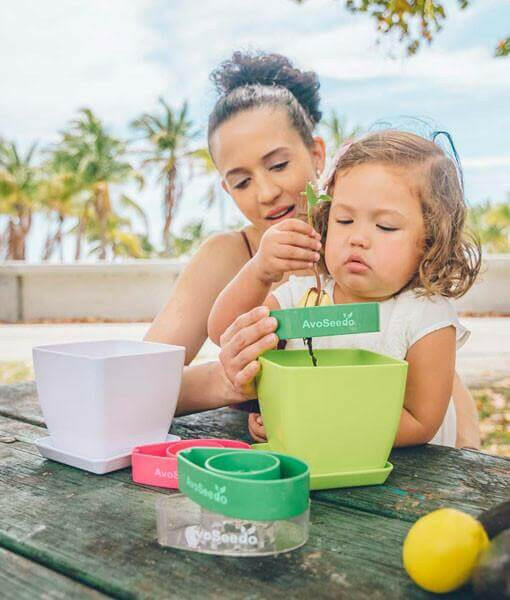 AvoSeedo Plant Pot Set.