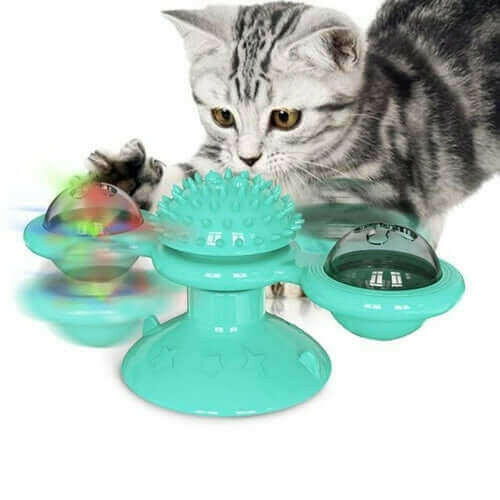 Cats Whirling LED Balls.