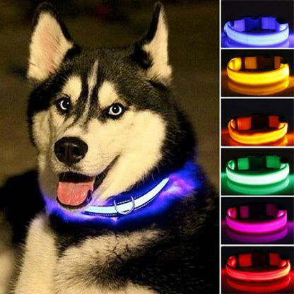 2 PCS Set Nylon LED Dog Collar.