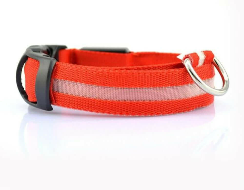 2 PCS Set Nylon LED Dog Collar.