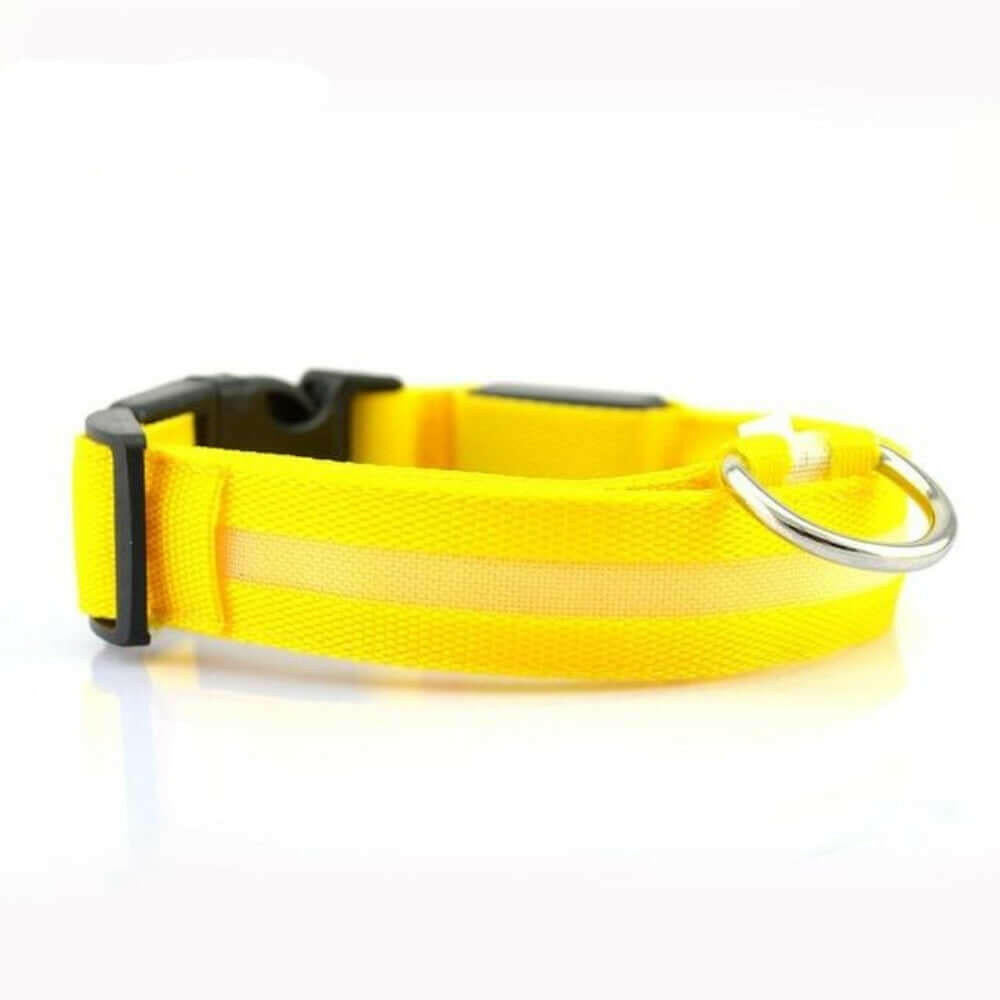 2 PCS Set Nylon LED Dog Collar.