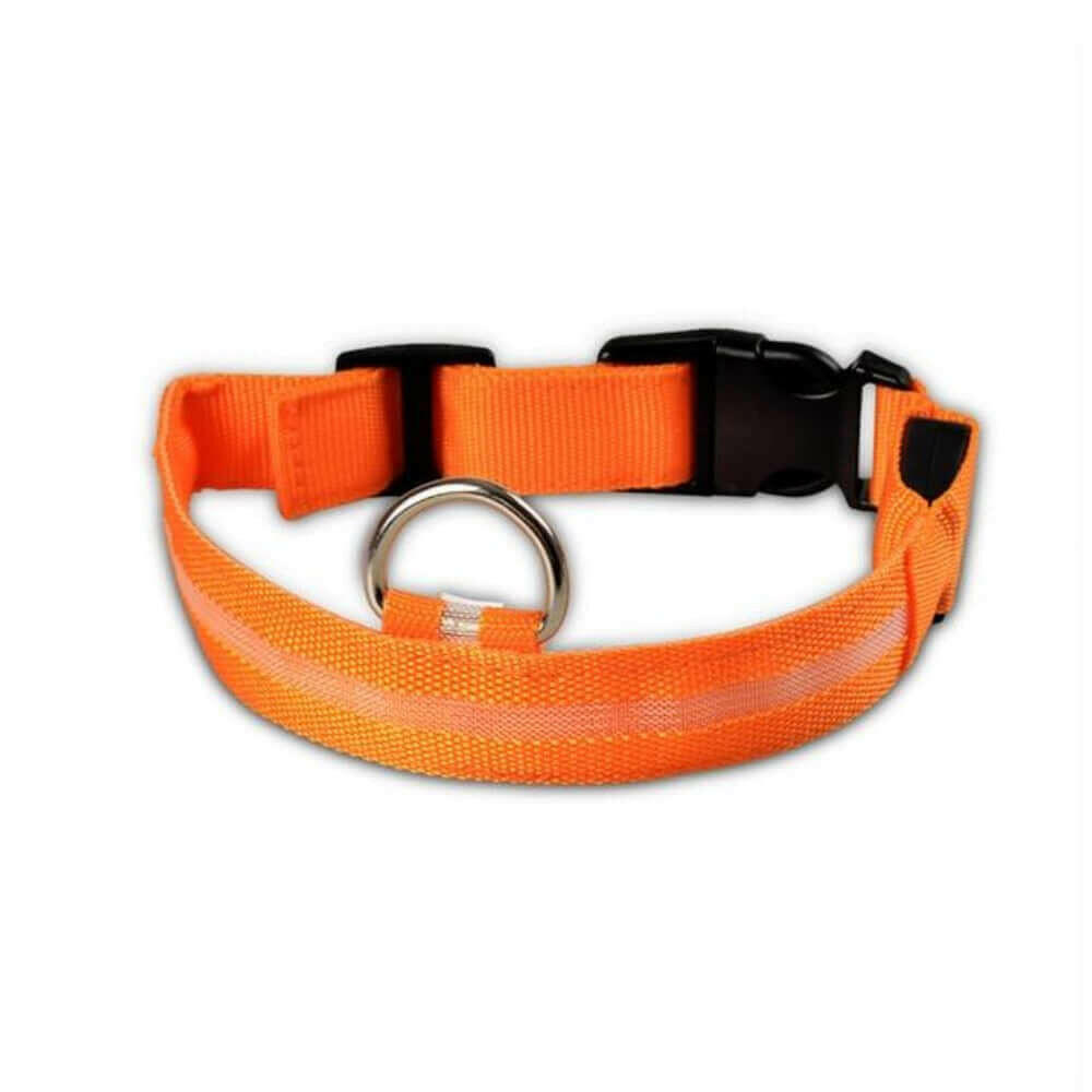 2 PCS Set Nylon LED Dog Collar.