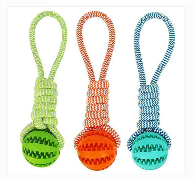 Durable Rubber Ball Chew Toy with Cotton Rope.