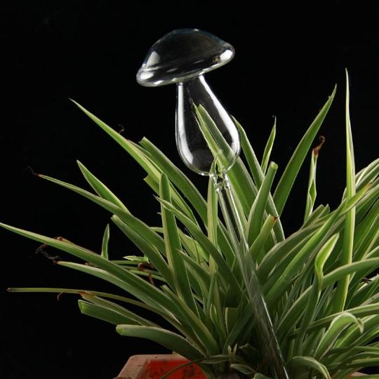 Mushroom Self-Watering Glass Planter Set