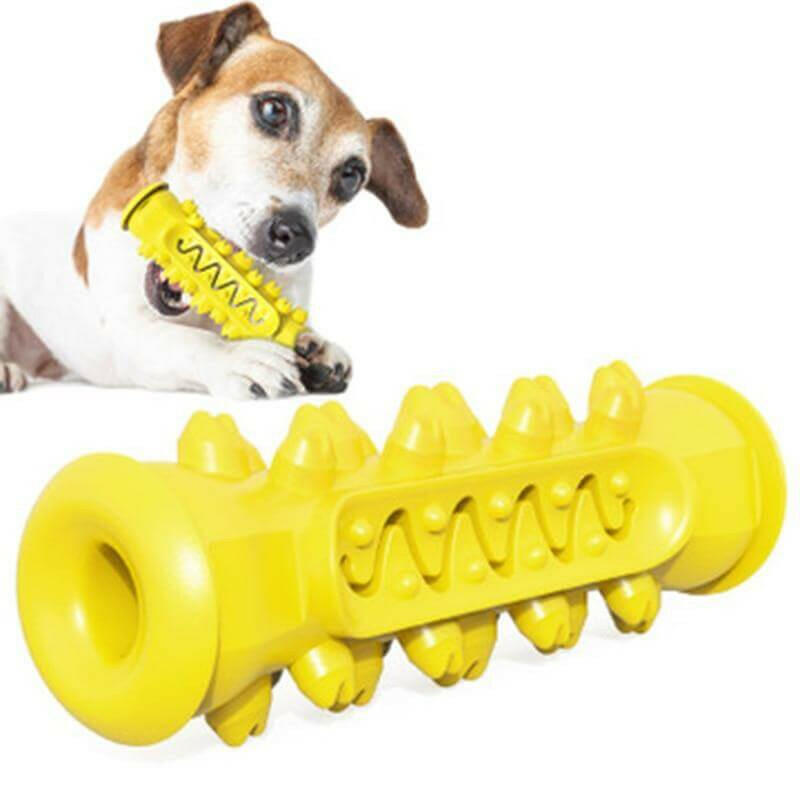 Chewing Toy for Dogs.