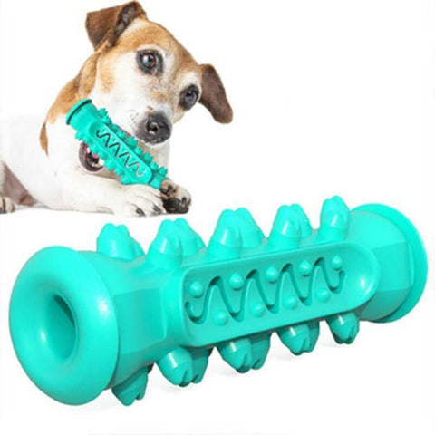 Chewing Toy for Dogs.