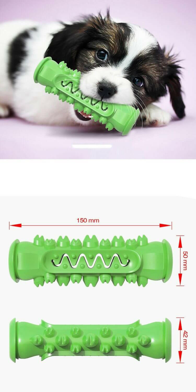 Chewing Toy for Dogs.