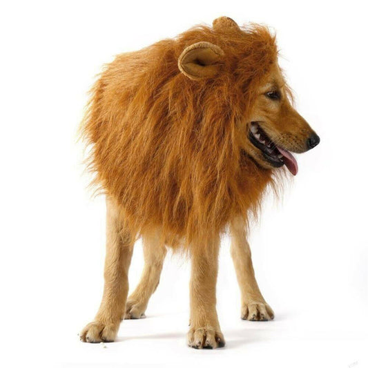 Lion Theme Dog Wig.