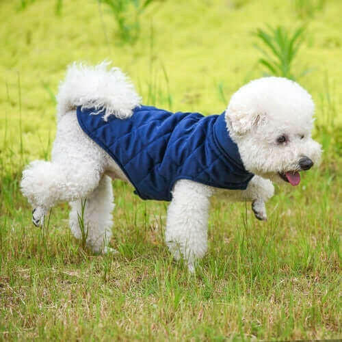 Dogs Winter Warm Vest.