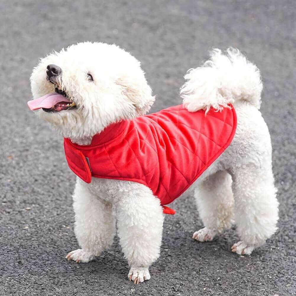 Dogs Winter Warm Vest.