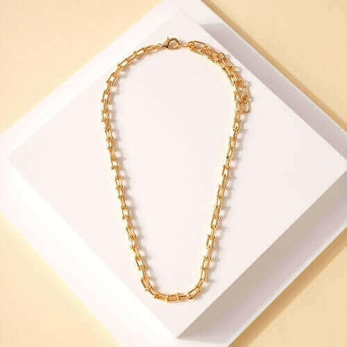 Chain Linked Metal Necklace.